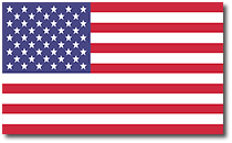 Inkwinks American Flag